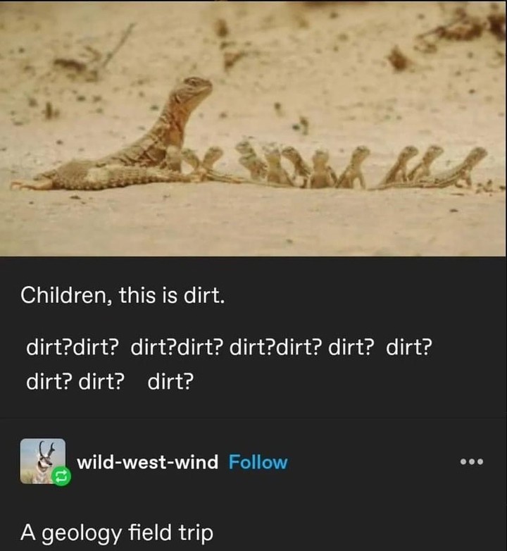 Wait, Did You Just Say Dirt?