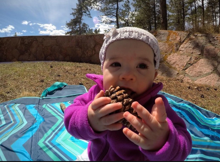 Mmm, the delightful pinecone experience!