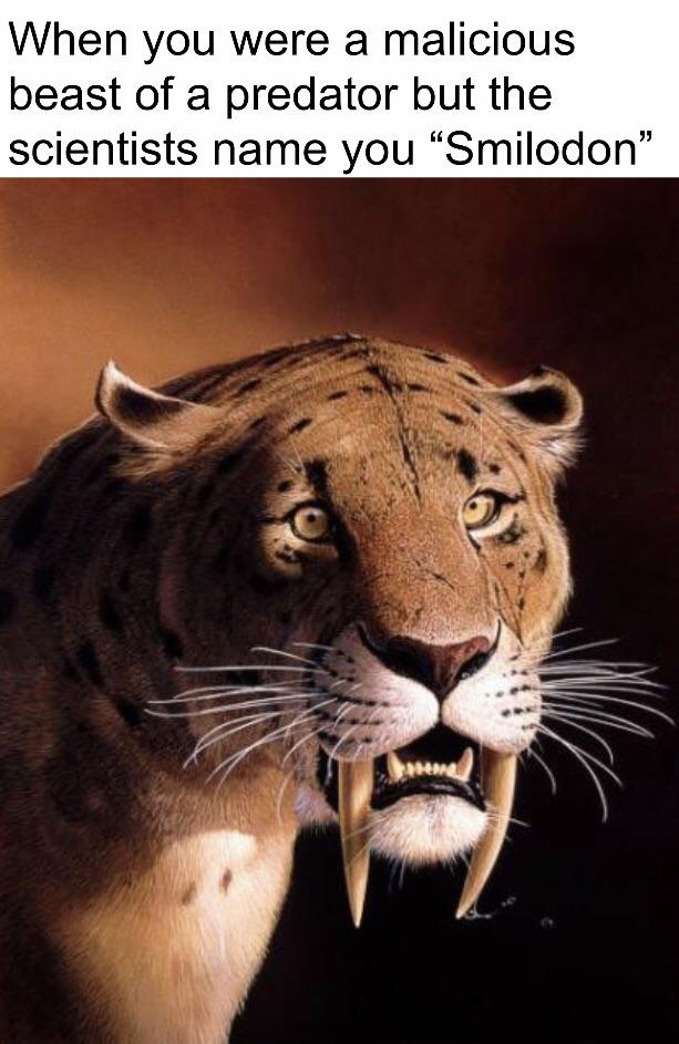 15 Hilarious Memes Featuring Sabre-Toothed Cats
