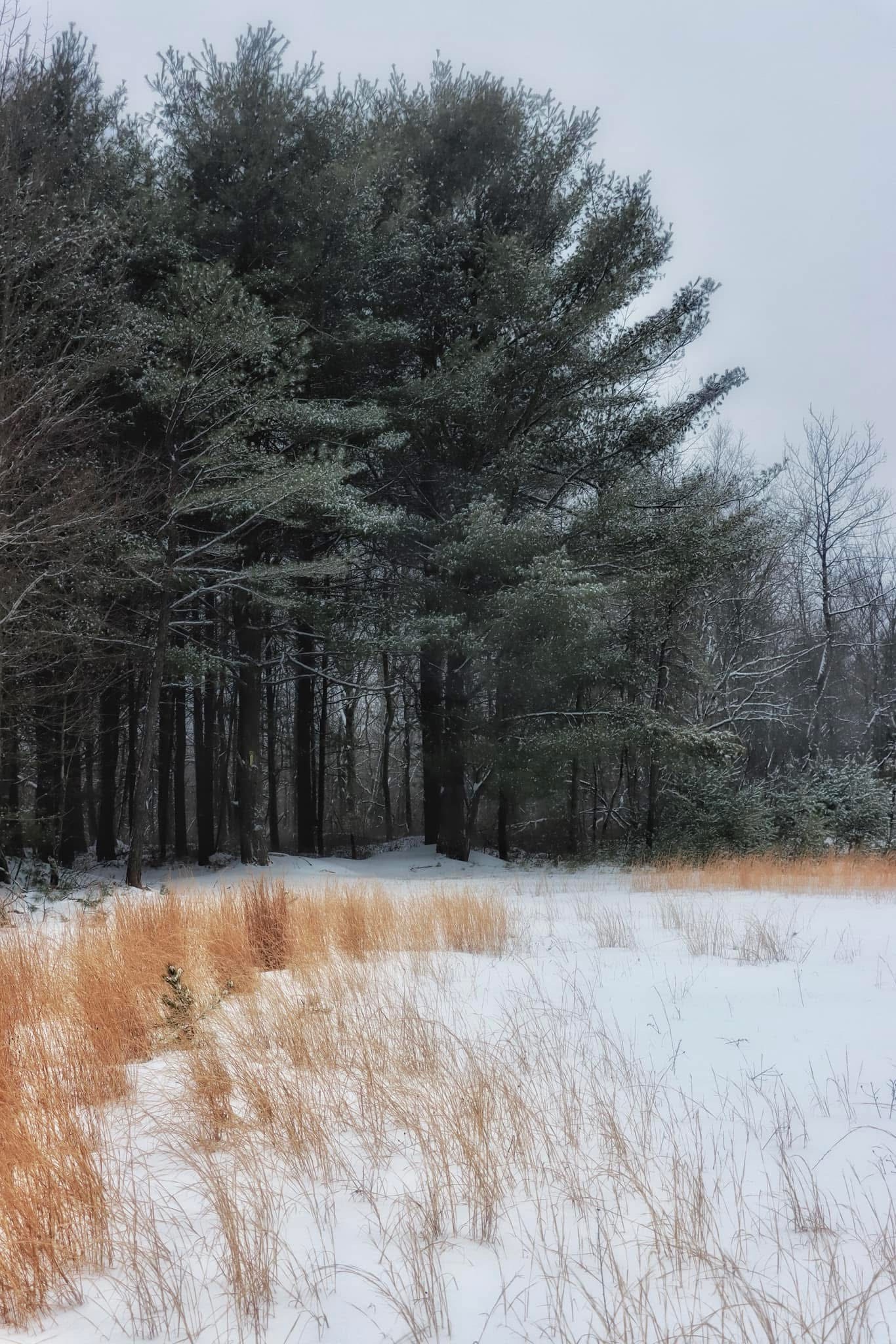 A Beautiful Winter Landscape