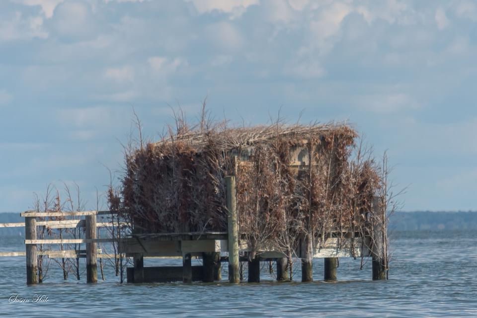 The Secret Hideout: Duck Blind Adventures