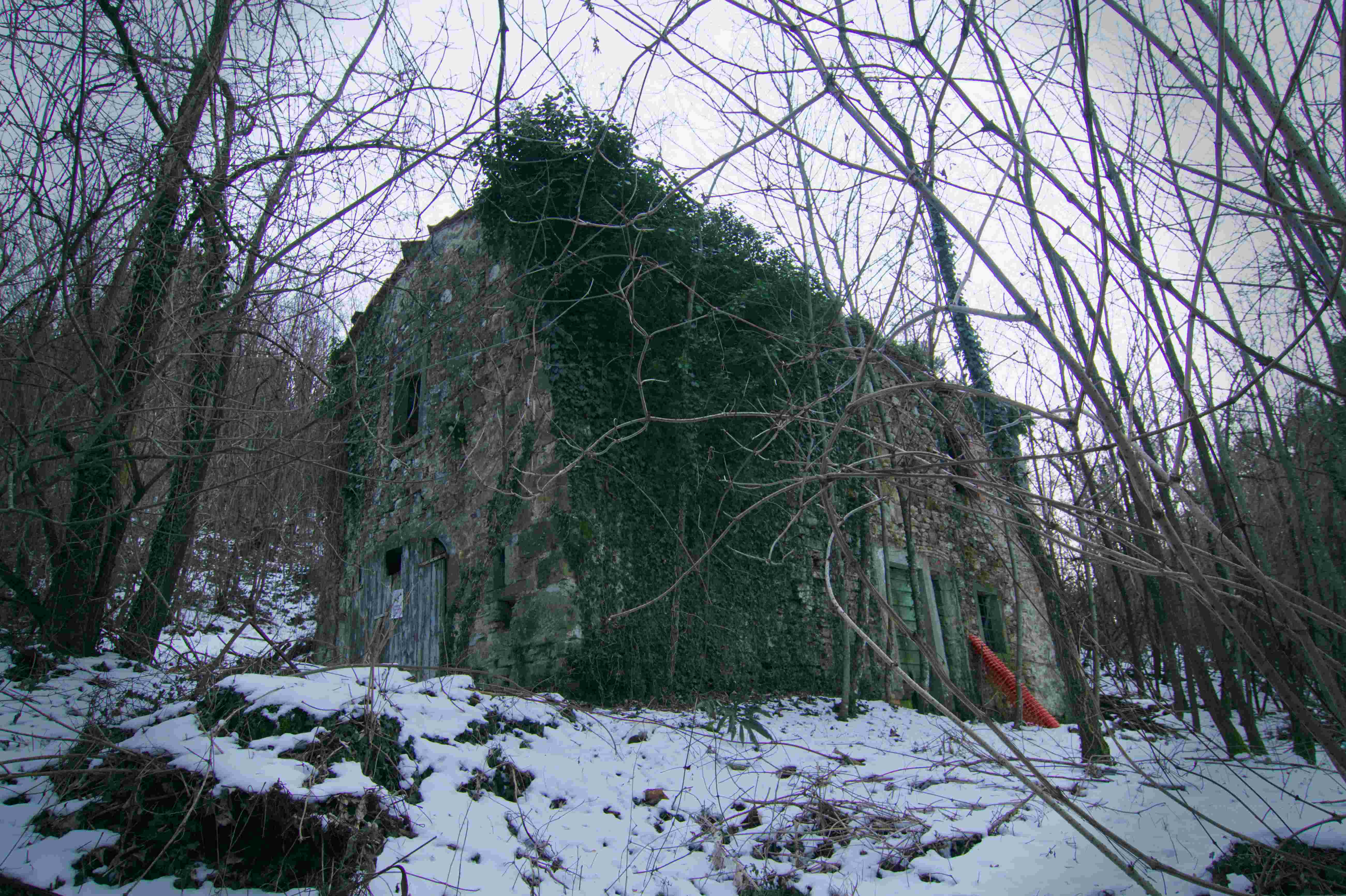 An Abandoned House: A Glimpse into the Forgotten