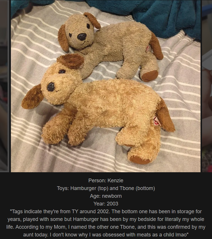 Day 833: Join Me on My Nostalgic Journey at Said the Skin Horse!