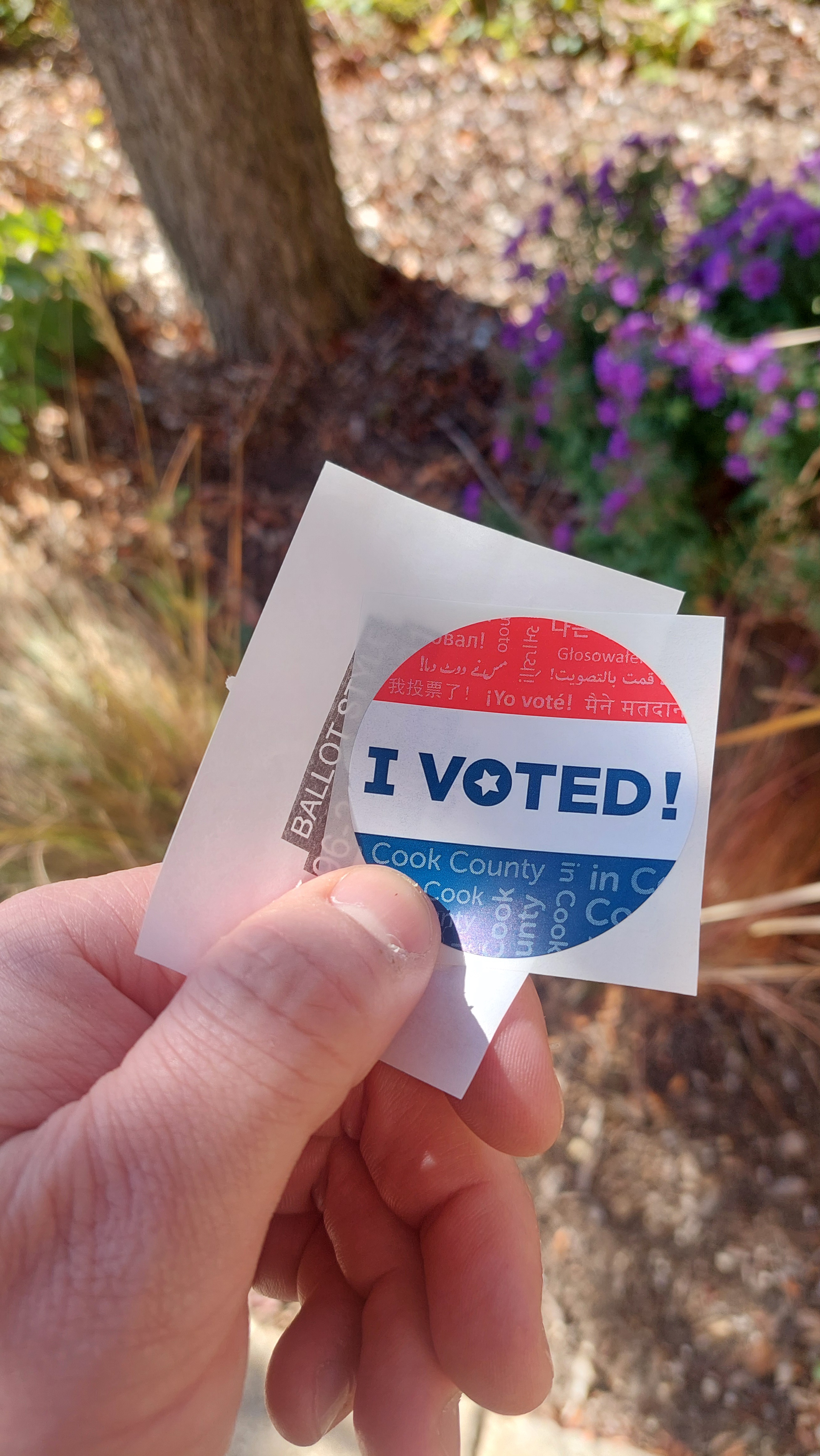 Rallying Cry for Democracy!