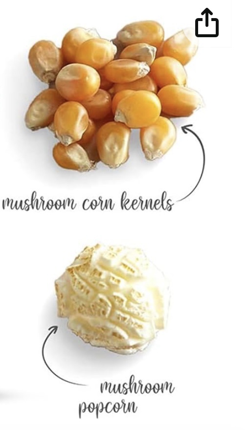 Did You Know? There Are Two Types of Popcorn: Mushroom and Butterfly!
