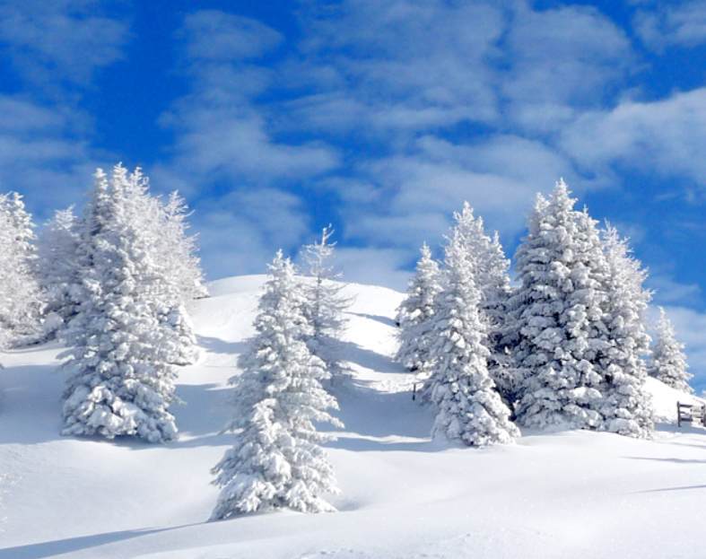 Embracing the Chill of Winter