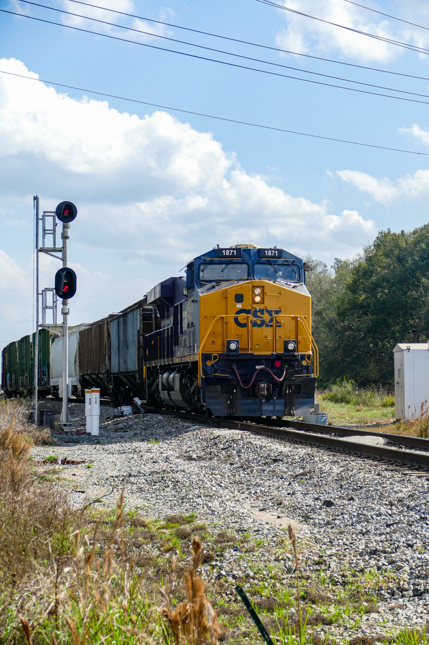 CSX 1871: A glimpse into the world of trains