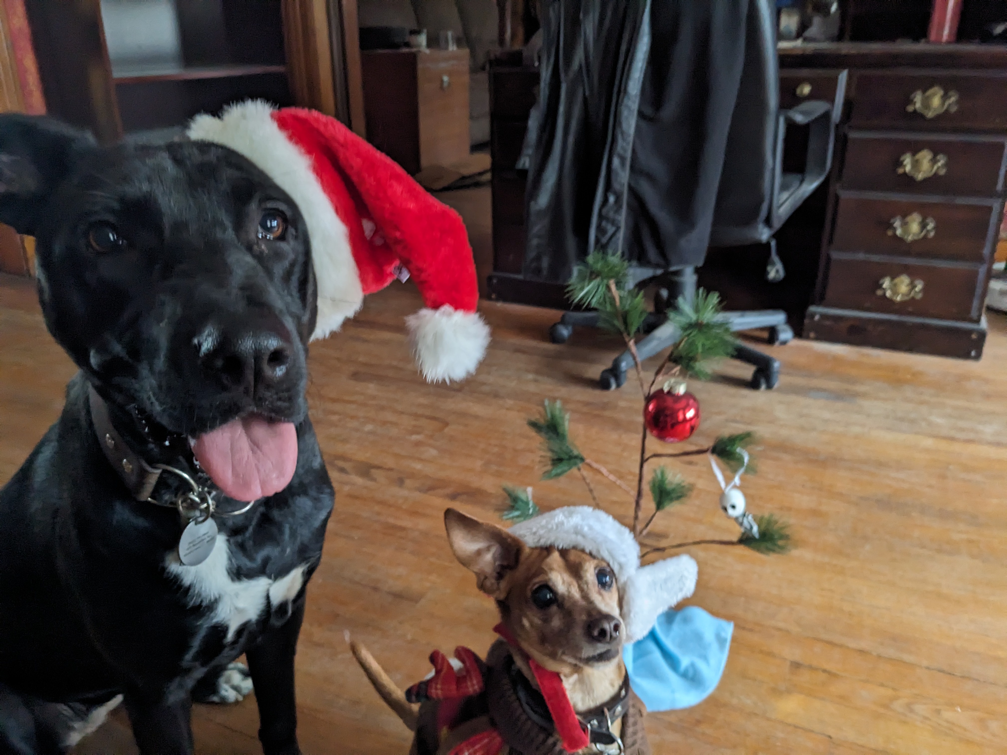 Wishing You a Joyous Holiday Season!