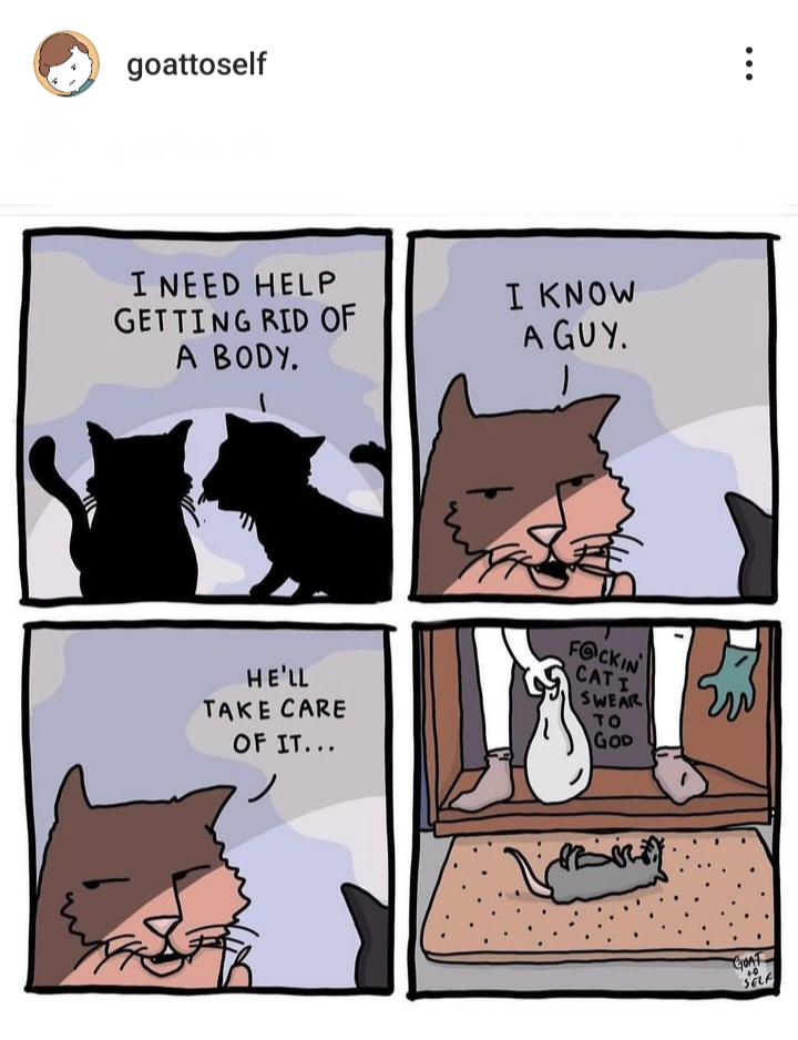 The Secret Life of the Cat Mafia