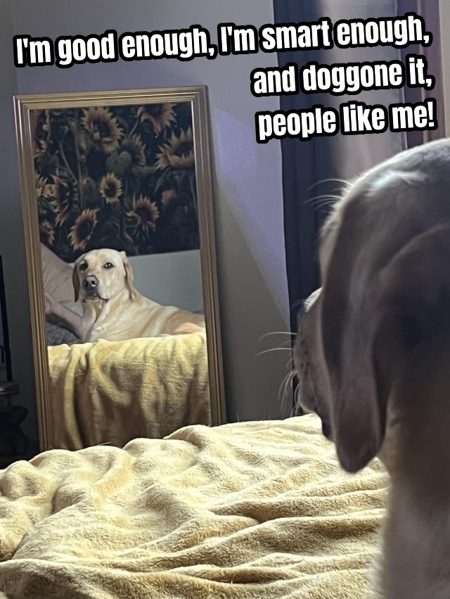 Your Daily Dose of Positive Vibes