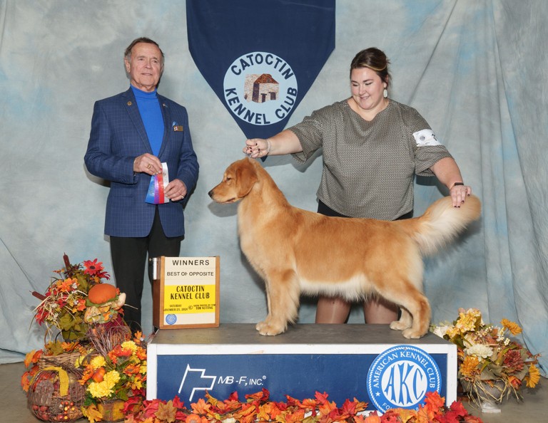 Meet Haily: The Star of the Show