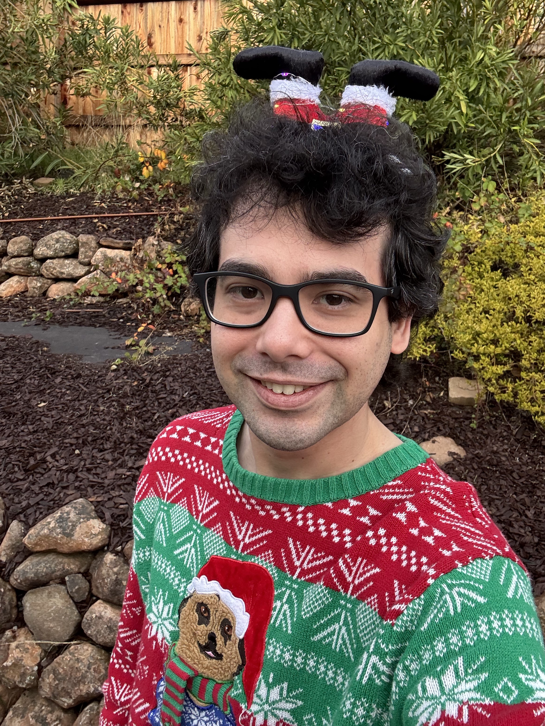 Wishing a Merry Christmas to All You Amazing Imgurians!