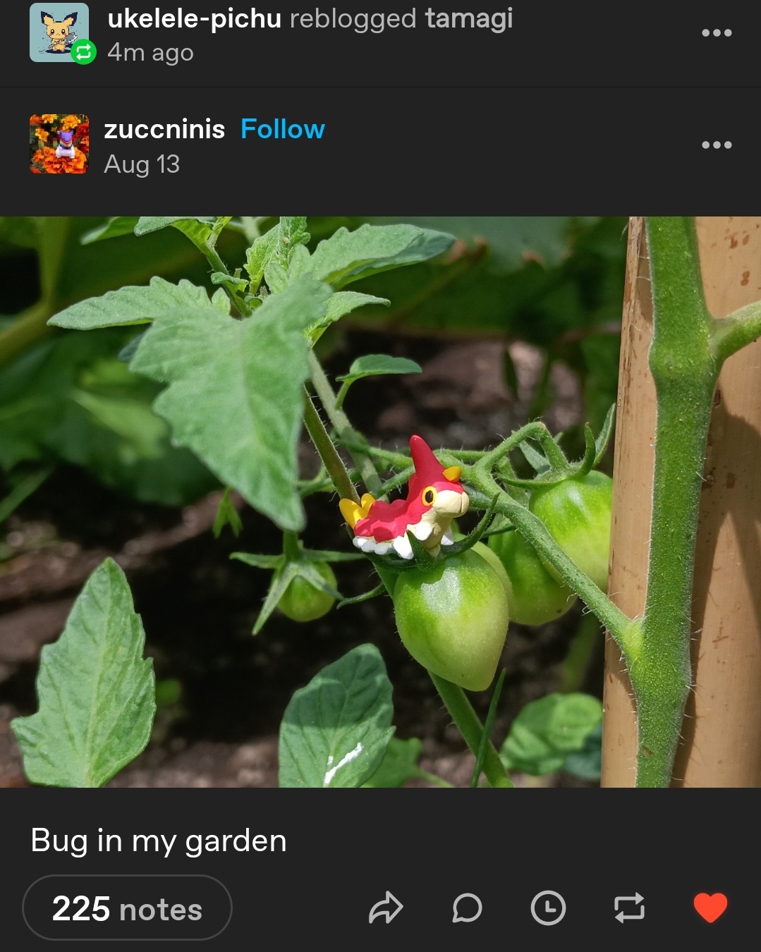 Unexpected Bug Alert!