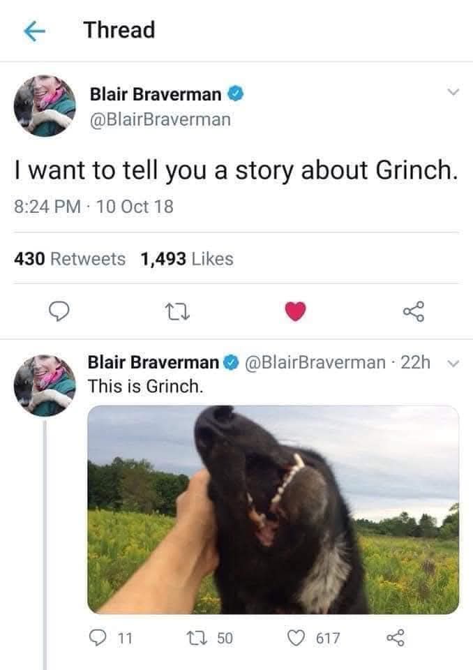 The Grinch: A Good Boy Who Deserves All the Love