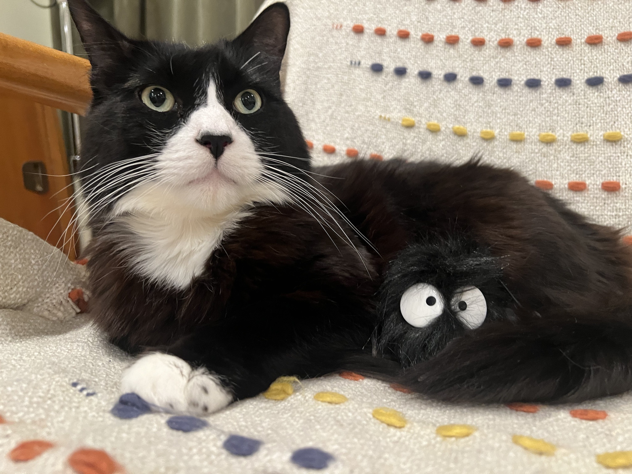 A Pair of Adorable Soot Sprites