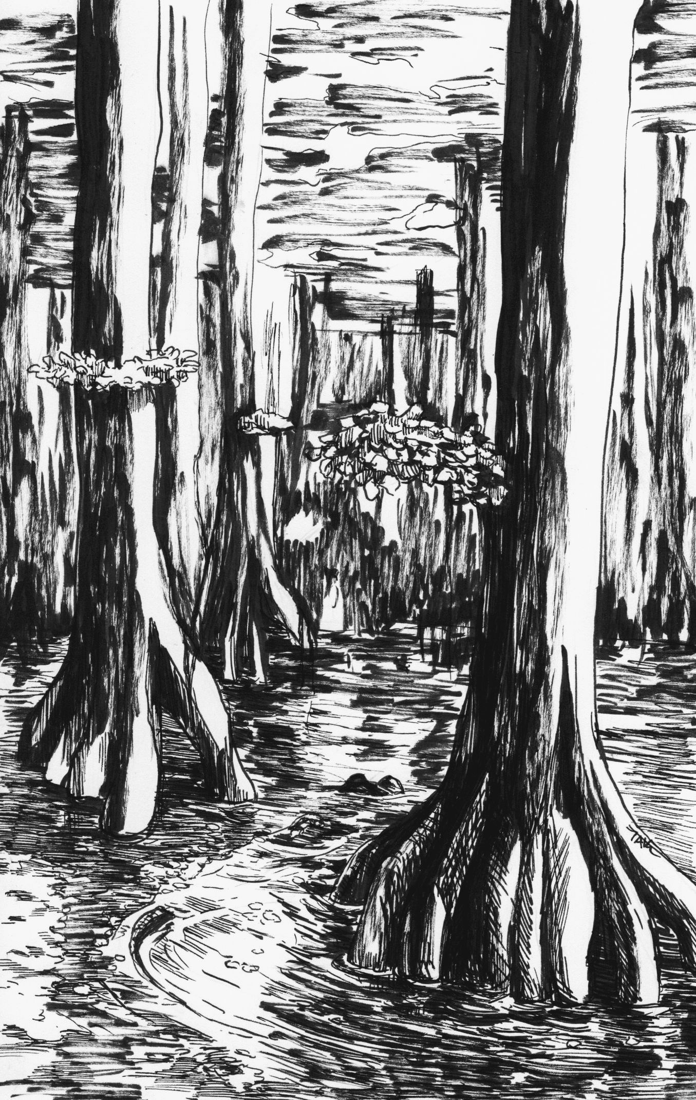 Daily Sketch: Exploring the Mystique of the Swamp