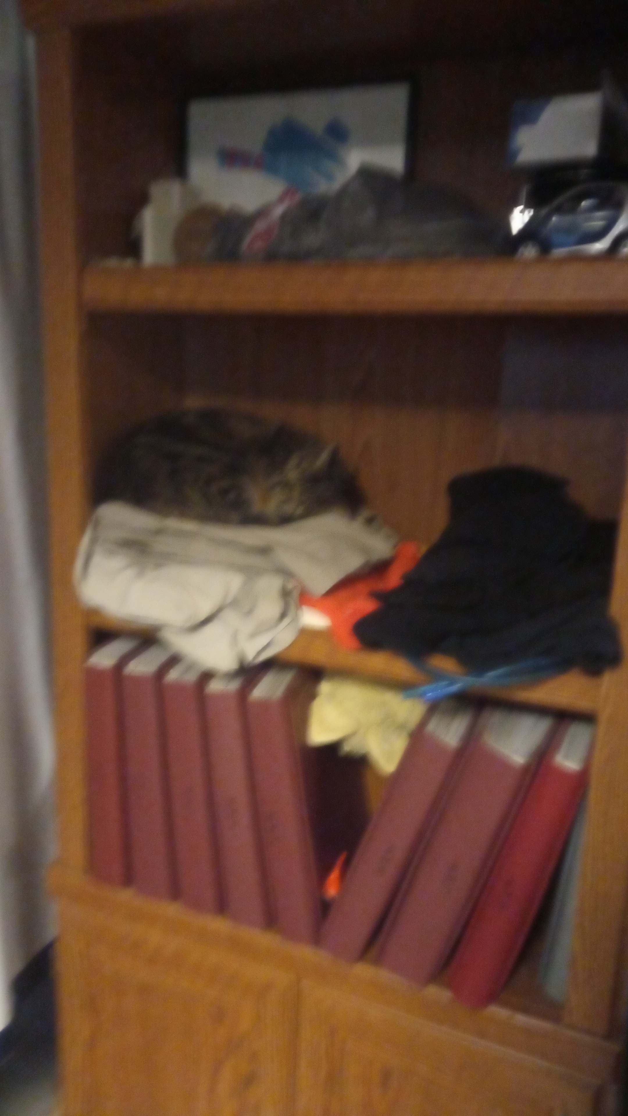 The Ultimate Sound Shelf Sleeper Experience