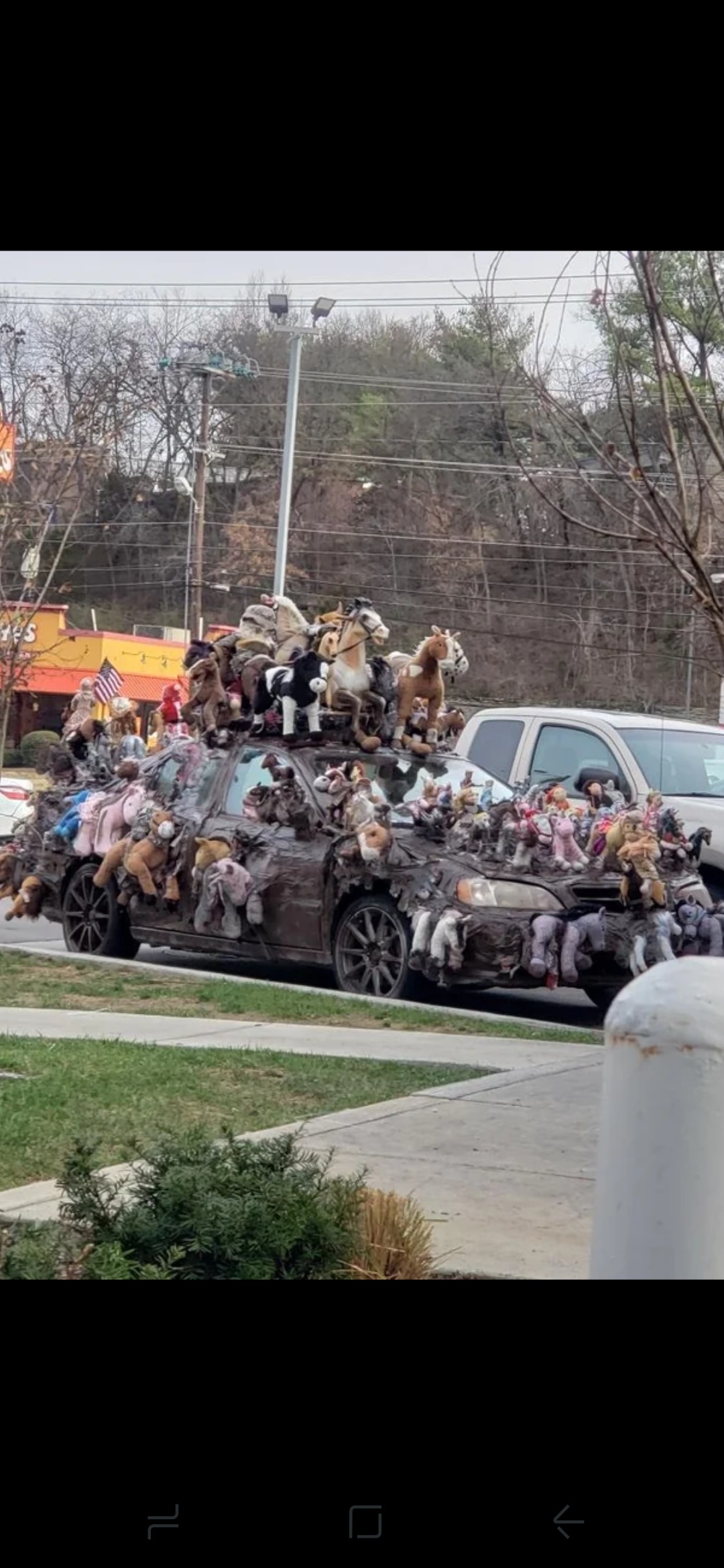 Nashville's Quirky 'Stuffed Animal Car'