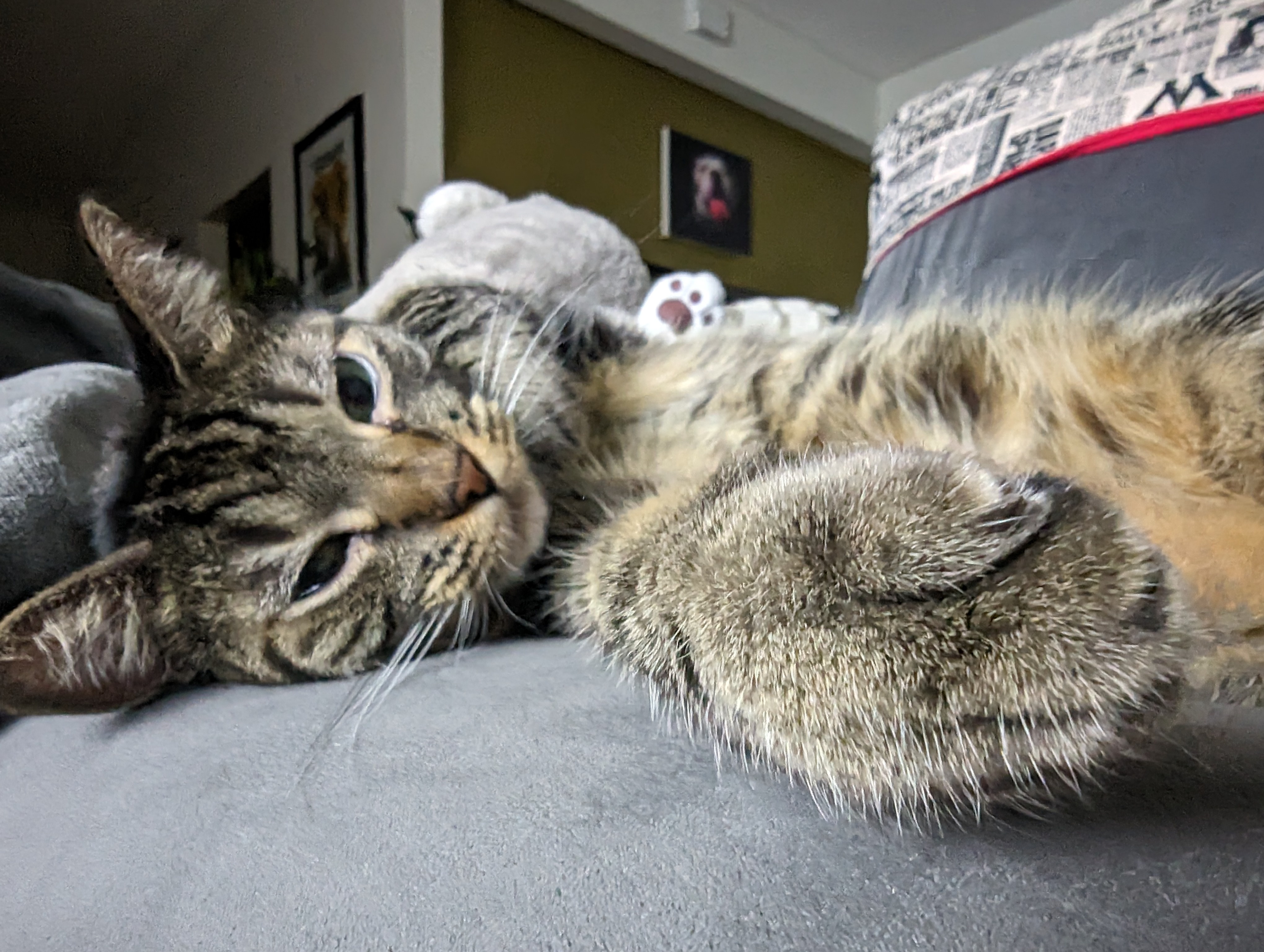 My Quirky Companion: The Other Weirdo
