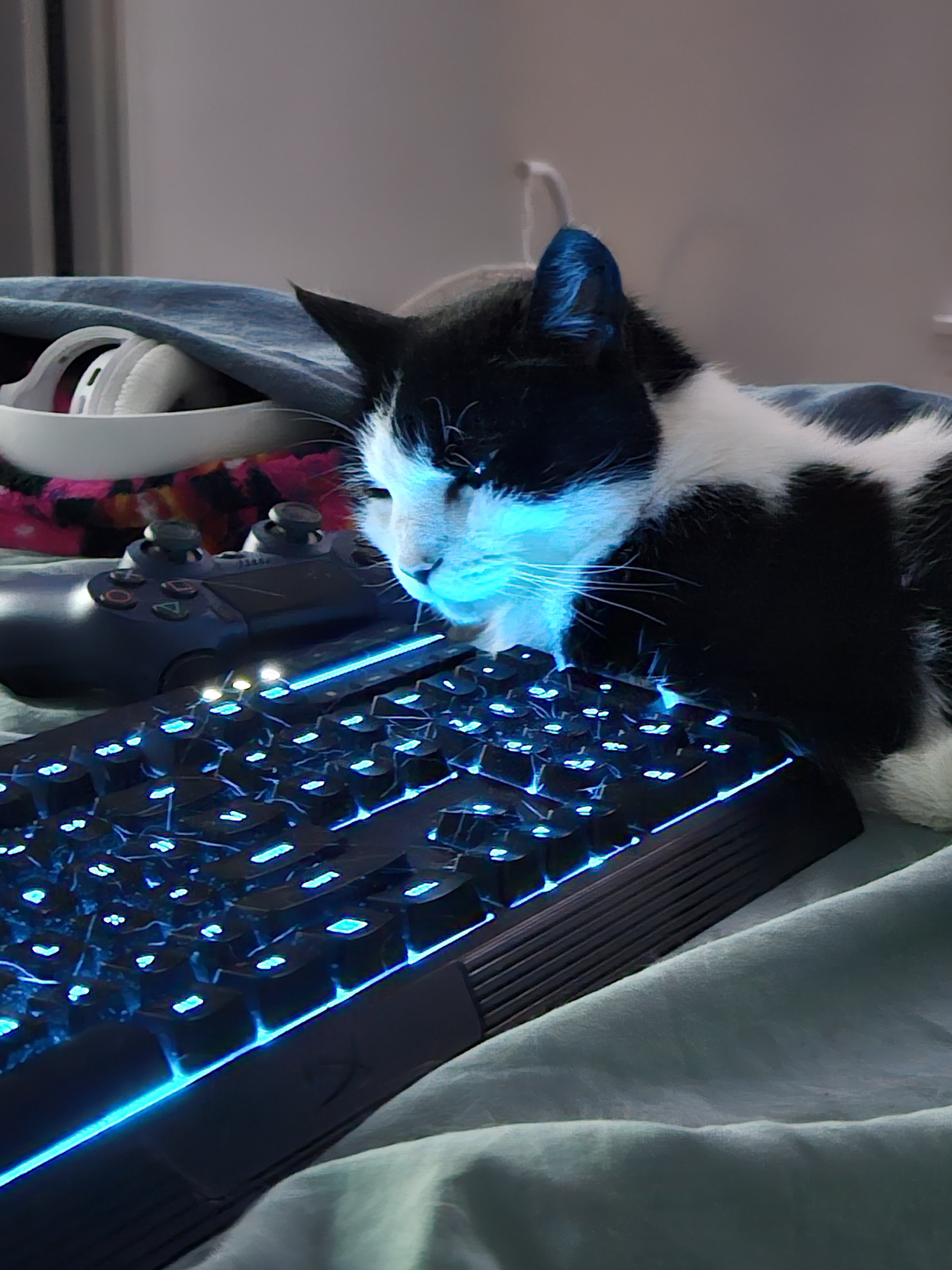 Buttermilk's Love Affair with the Glowing Keyboard