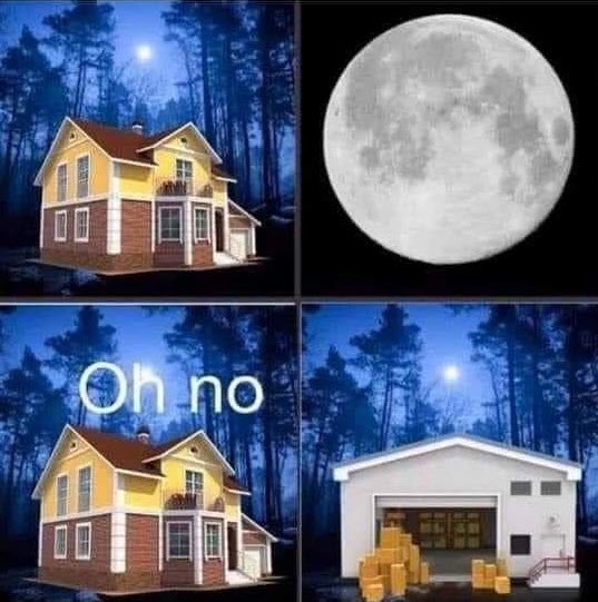 Under the Enchanting Glow of the Full Moon