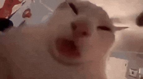 Mlem!