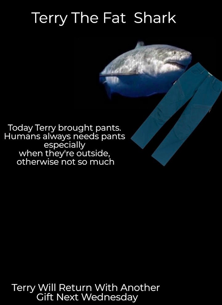 Terry's Midweek Surprise: A Special Wednesday Gift!