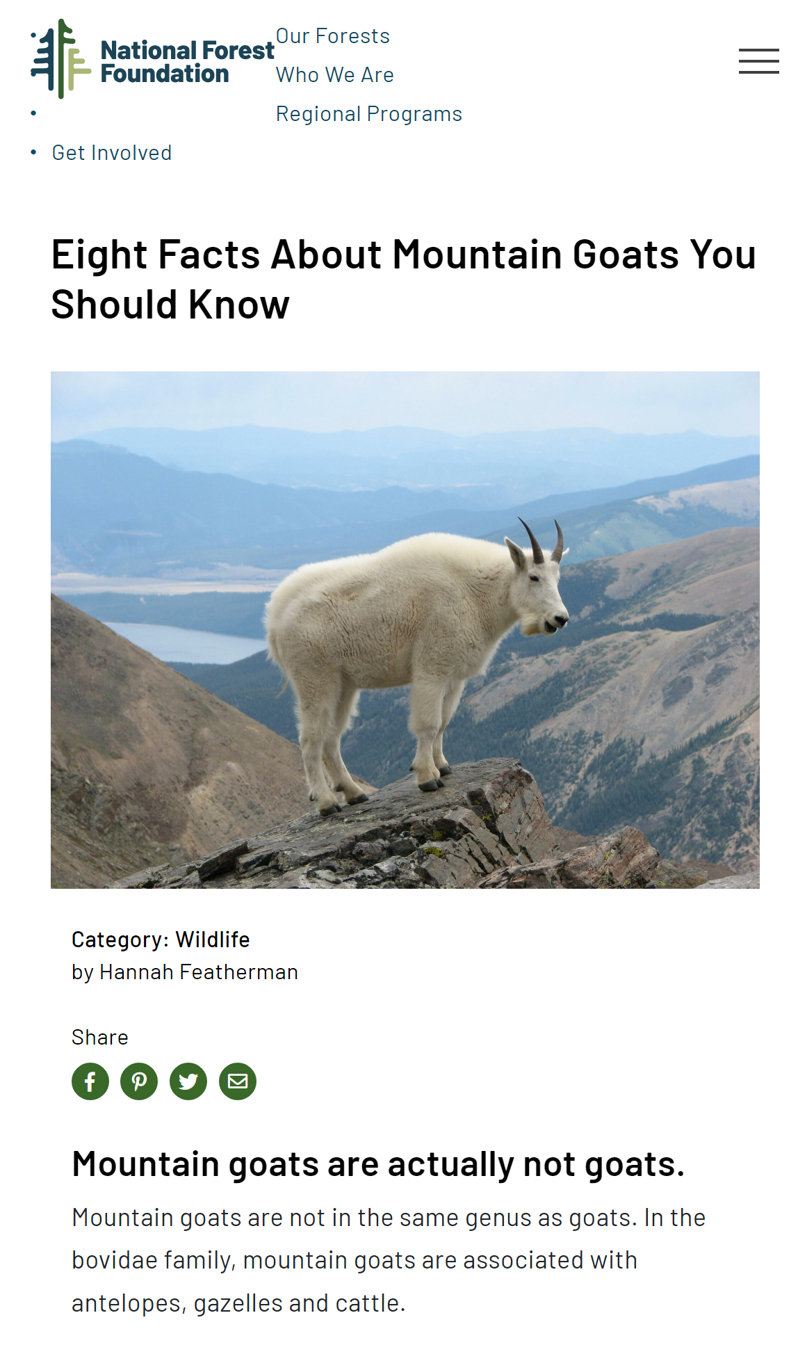 But seriously, are mountain lions just big cats in disguise?
