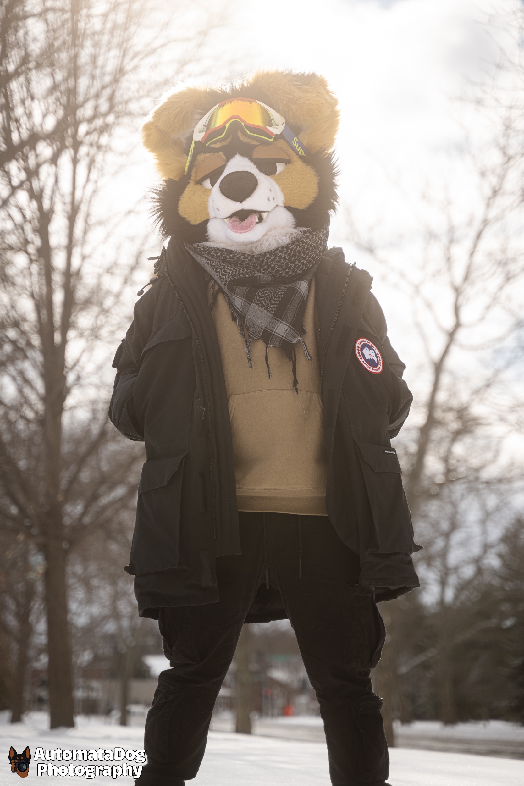 Daily Dose of Furry Photography - Day 467