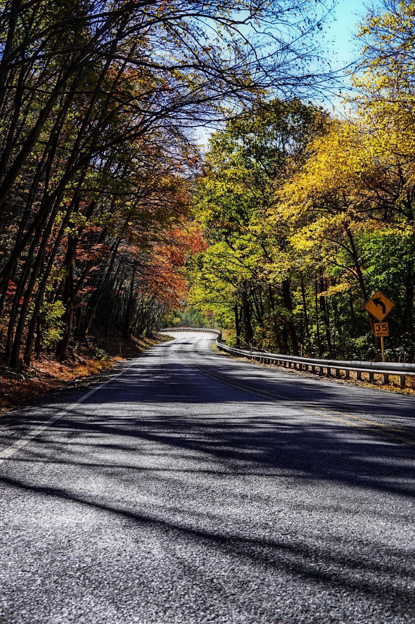 Embracing the Beauty of Autumn