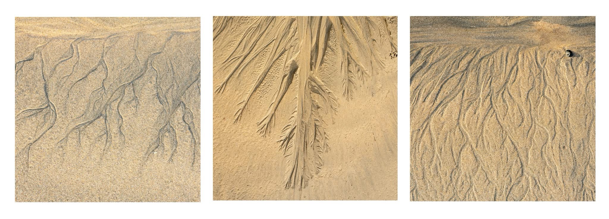 Intricate Patterns in the Sand