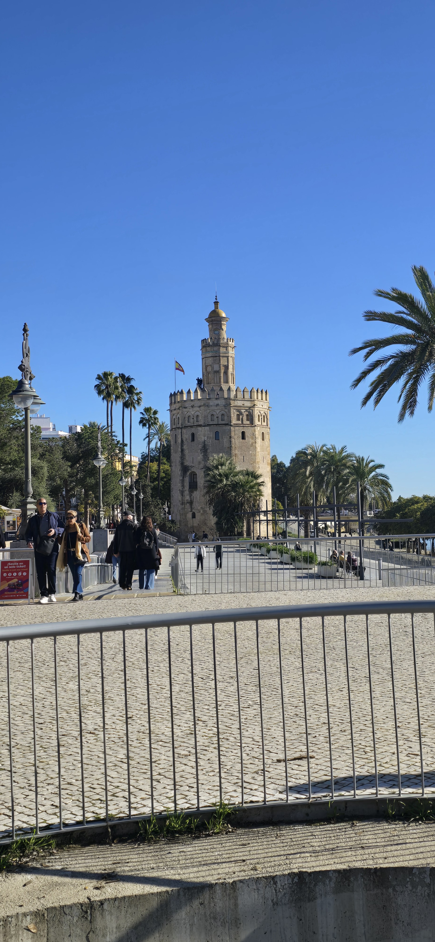 Celebrating 11 Years on Imgur: A Snapshot from My Weekend in Seville