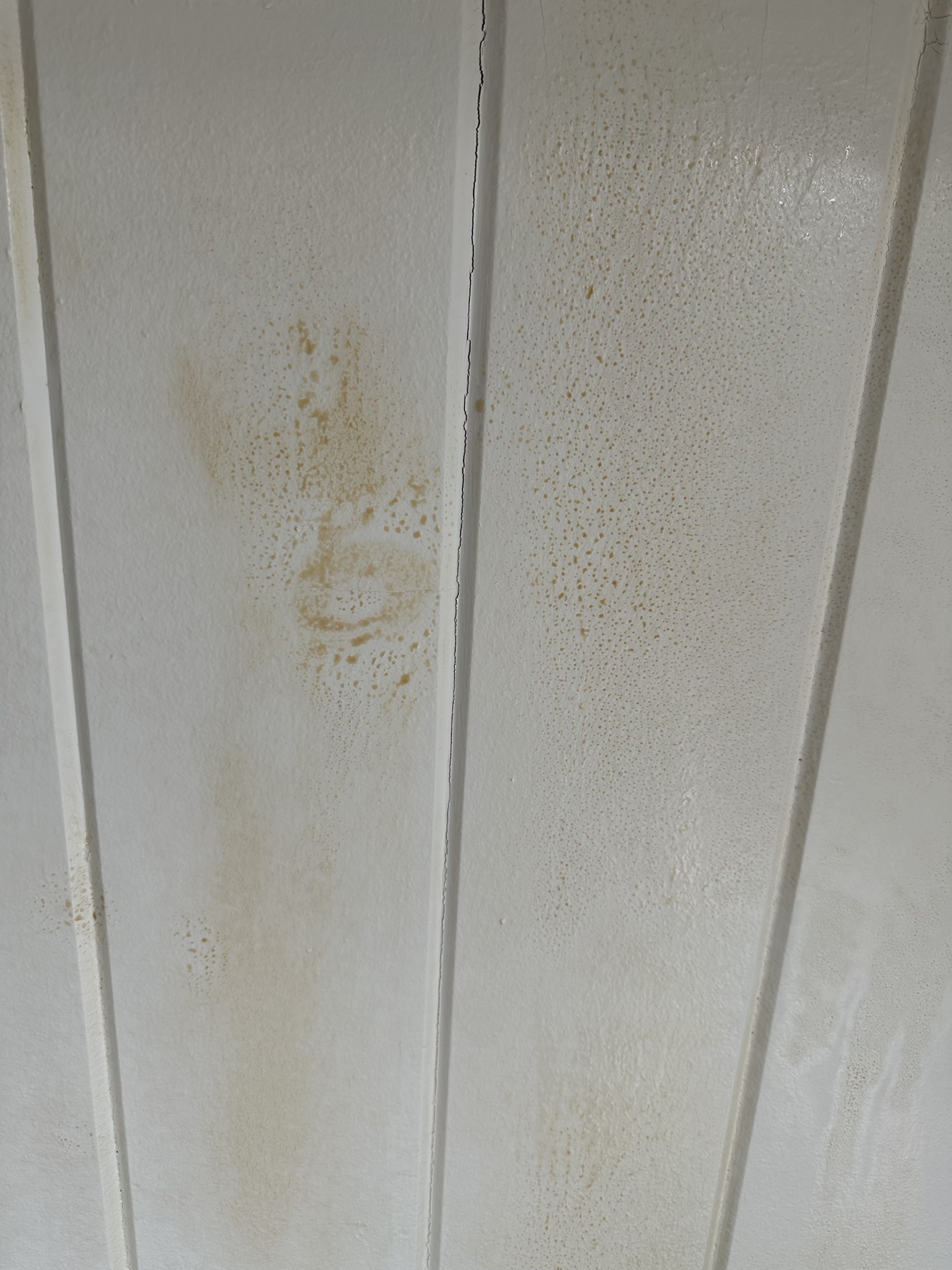 Brown stains on a wooden tongue and groove ceiling