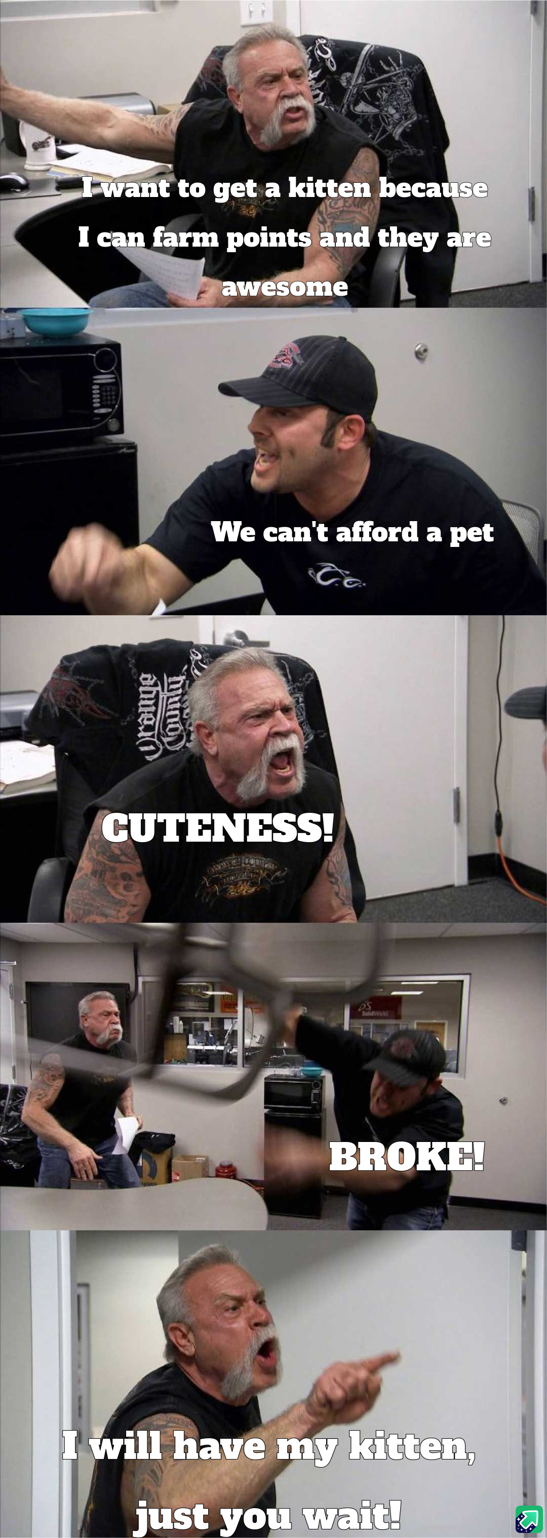 That Overwhelming Joy When I See a Kitten Post