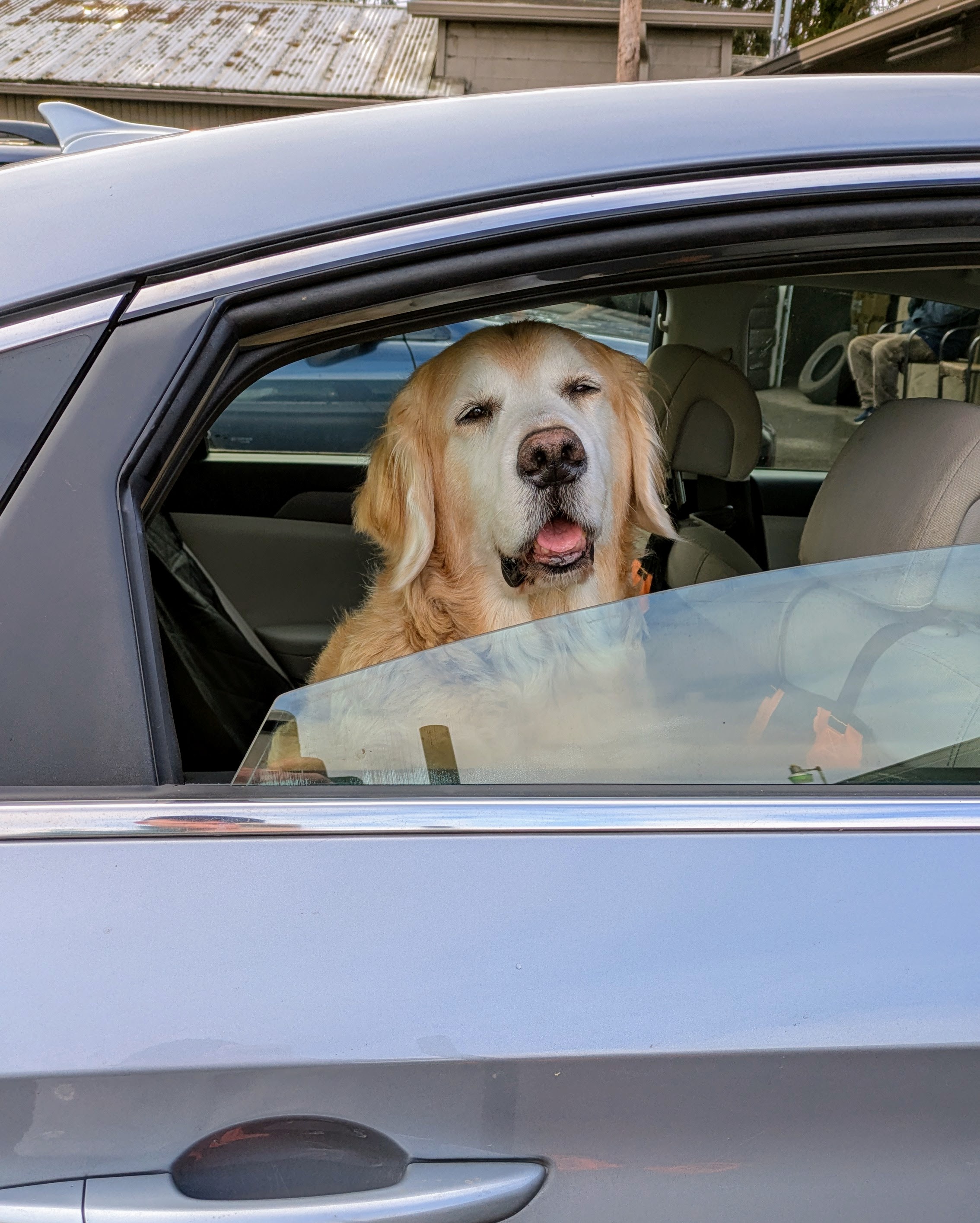 Cooper's hilarious drive-thru adventure