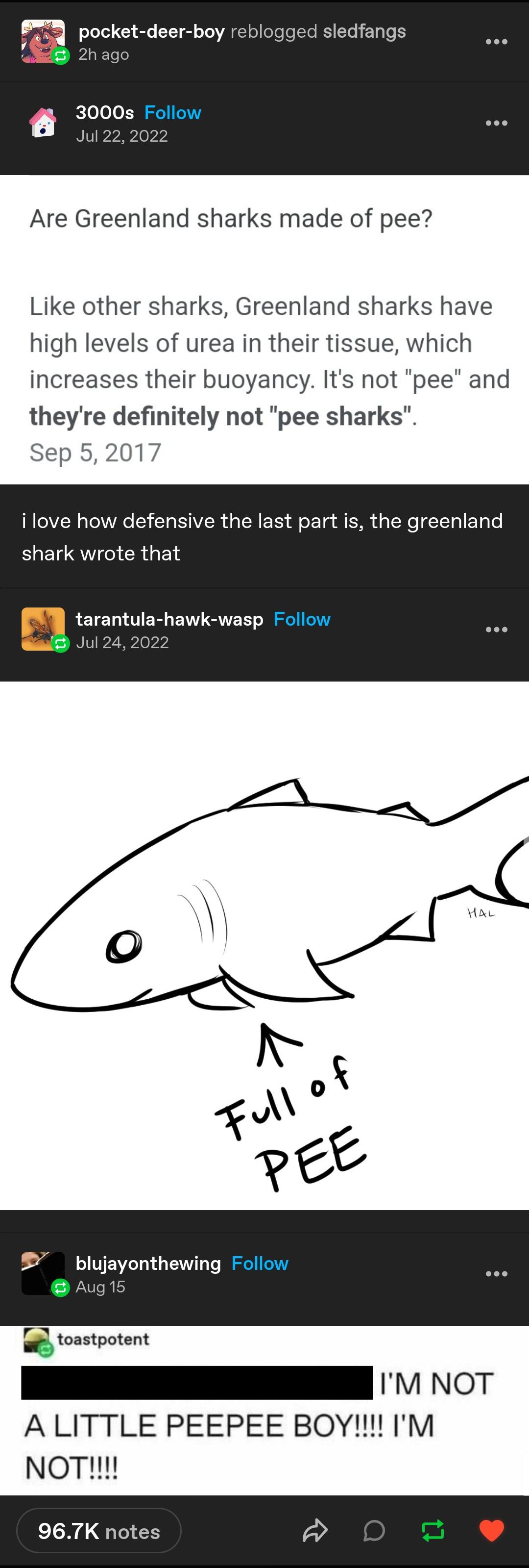 Exploring the Mysterious Greenland Sharks