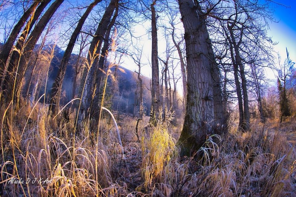 Capturing the World Through a Fish Eye Lens