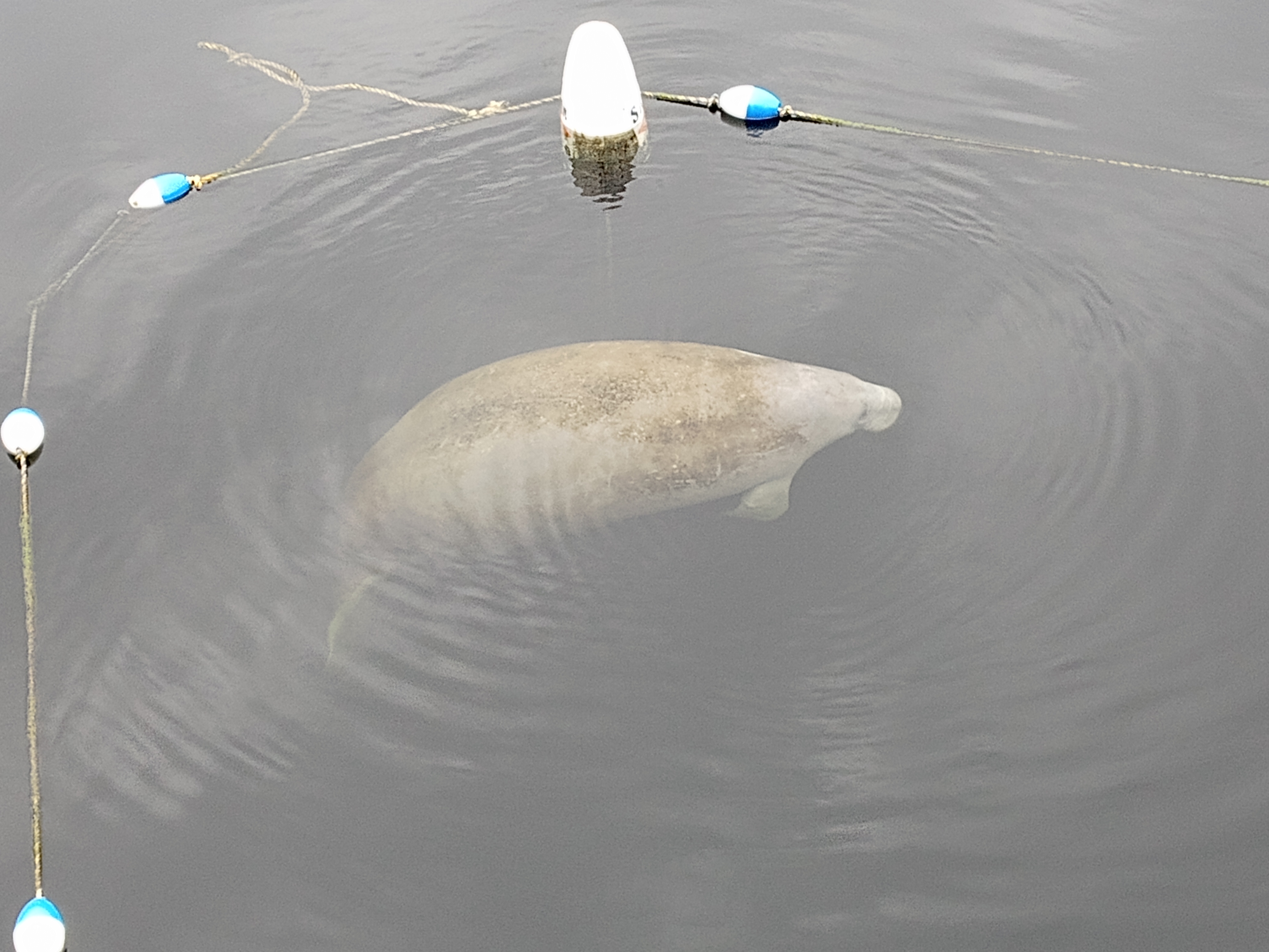 Wakulla Springs State Park Adventure - February 23, 2025