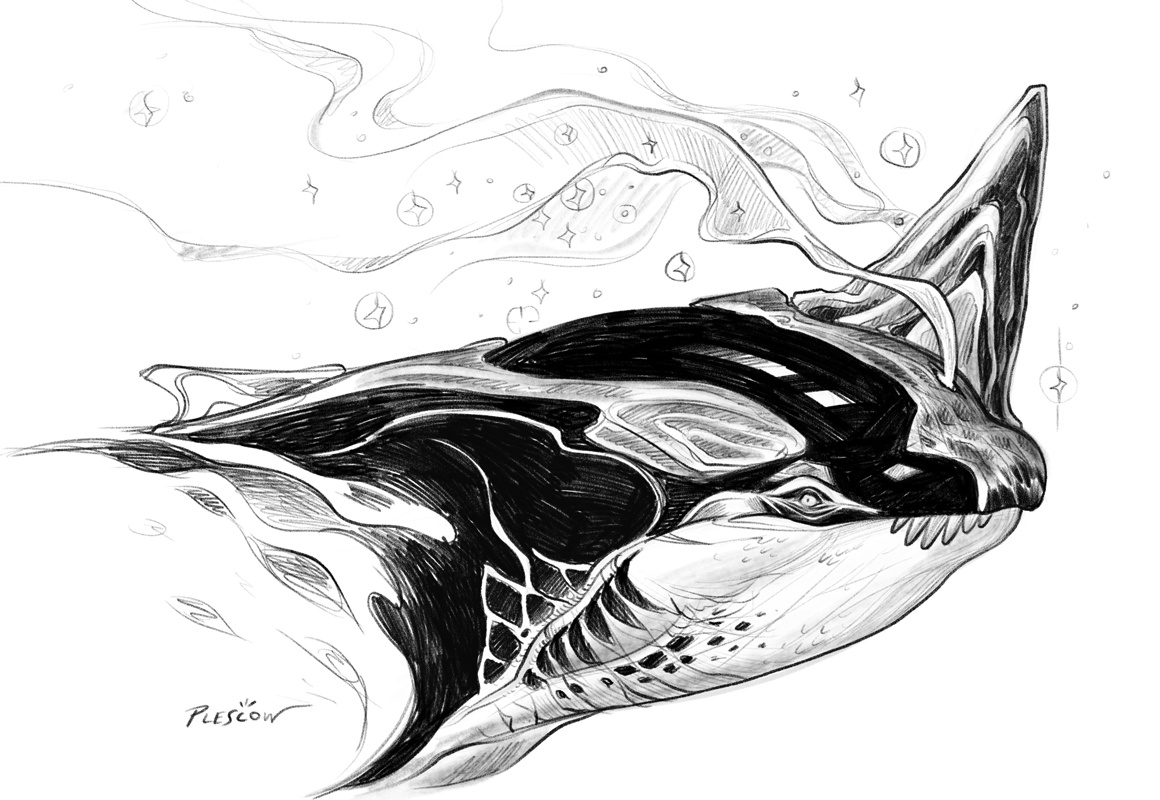 The Mythical Orca Dragon Emerges