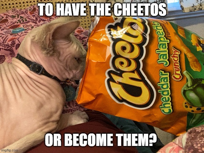 Diving into the tough questions!
