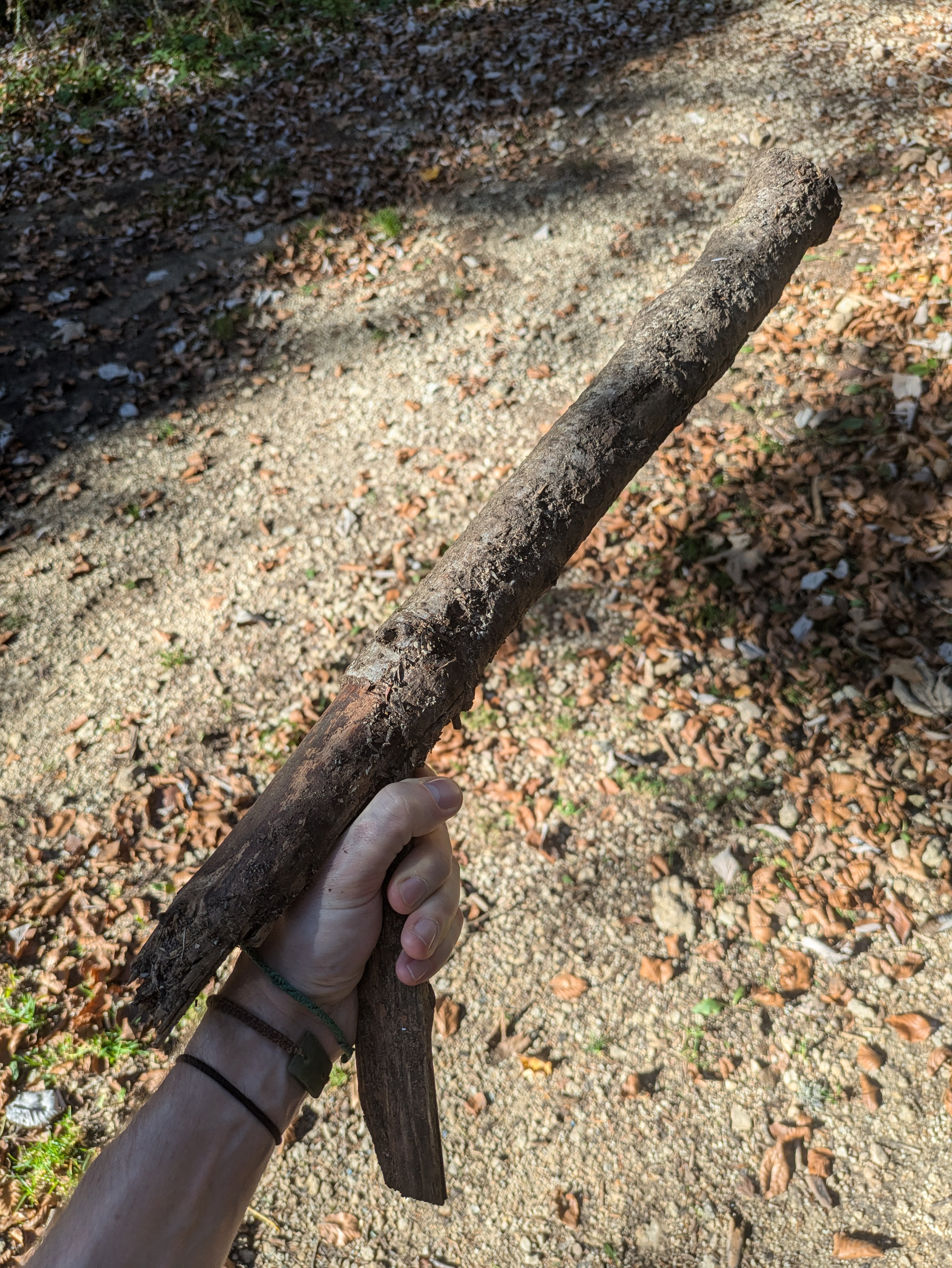 Check out this cool stick gun I stumbled upon today!