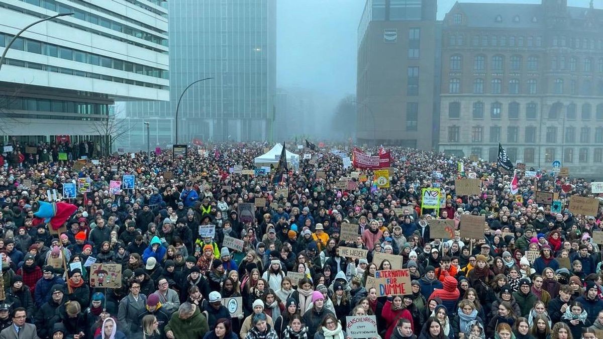 Massive 80,000 Strong Protest in Hamburg Against AfD and CDU's Extreme Right Ties