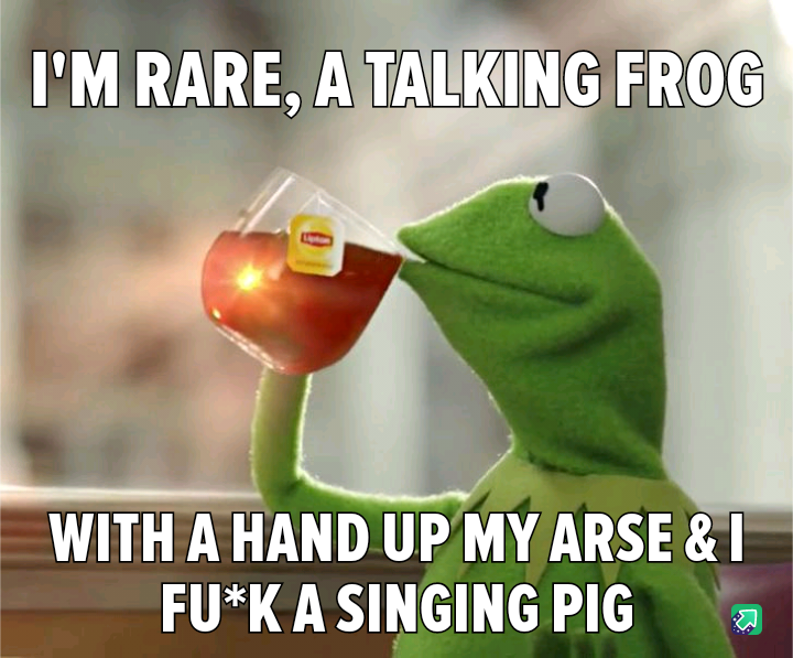 Kermit has all the answers