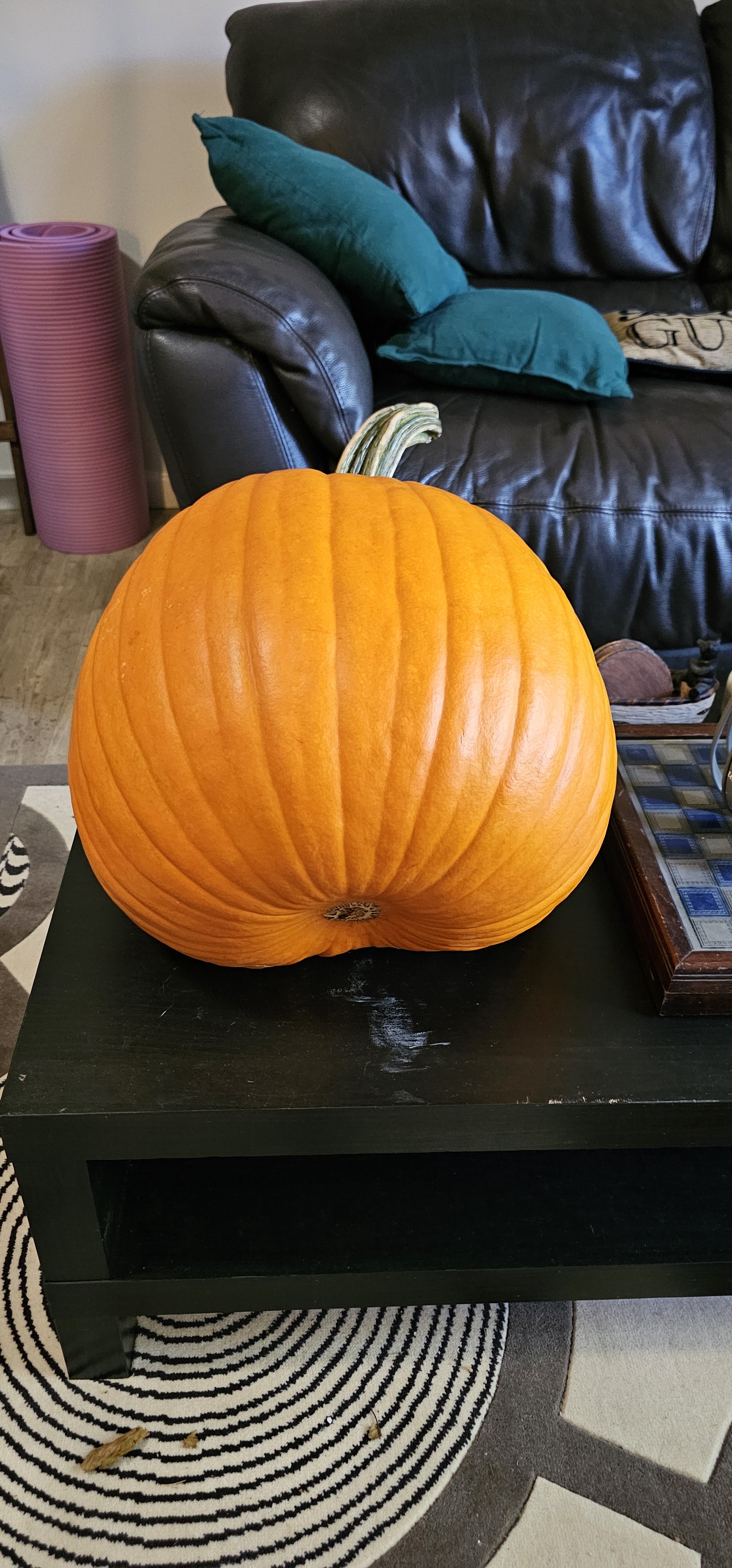 The Pumpkin with the Most Unusual Vibes