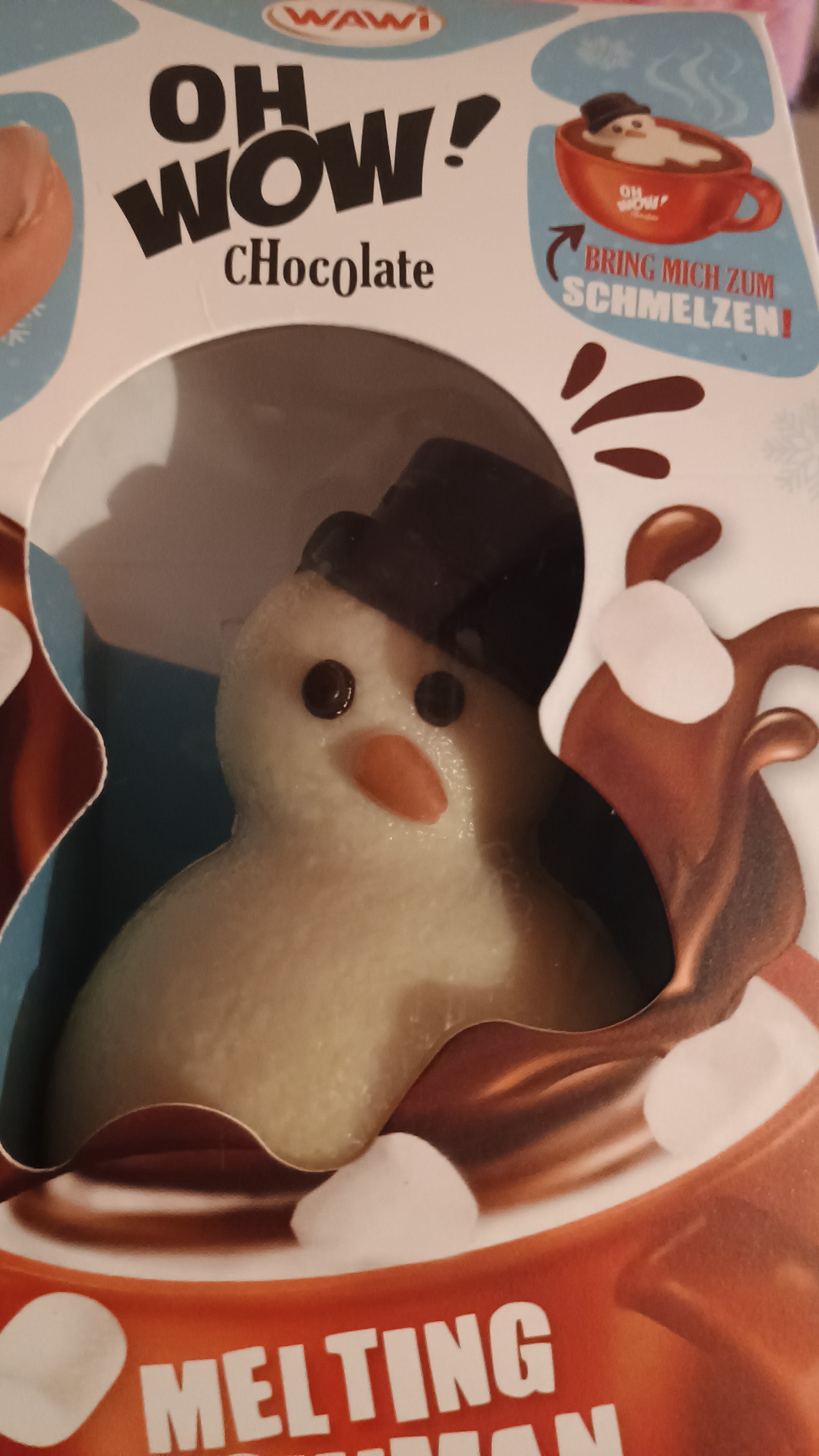 The Adventures of Mr. Snowman