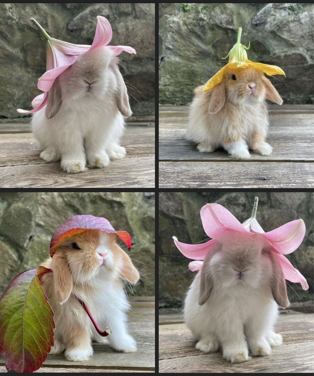 Adorable flower buns.