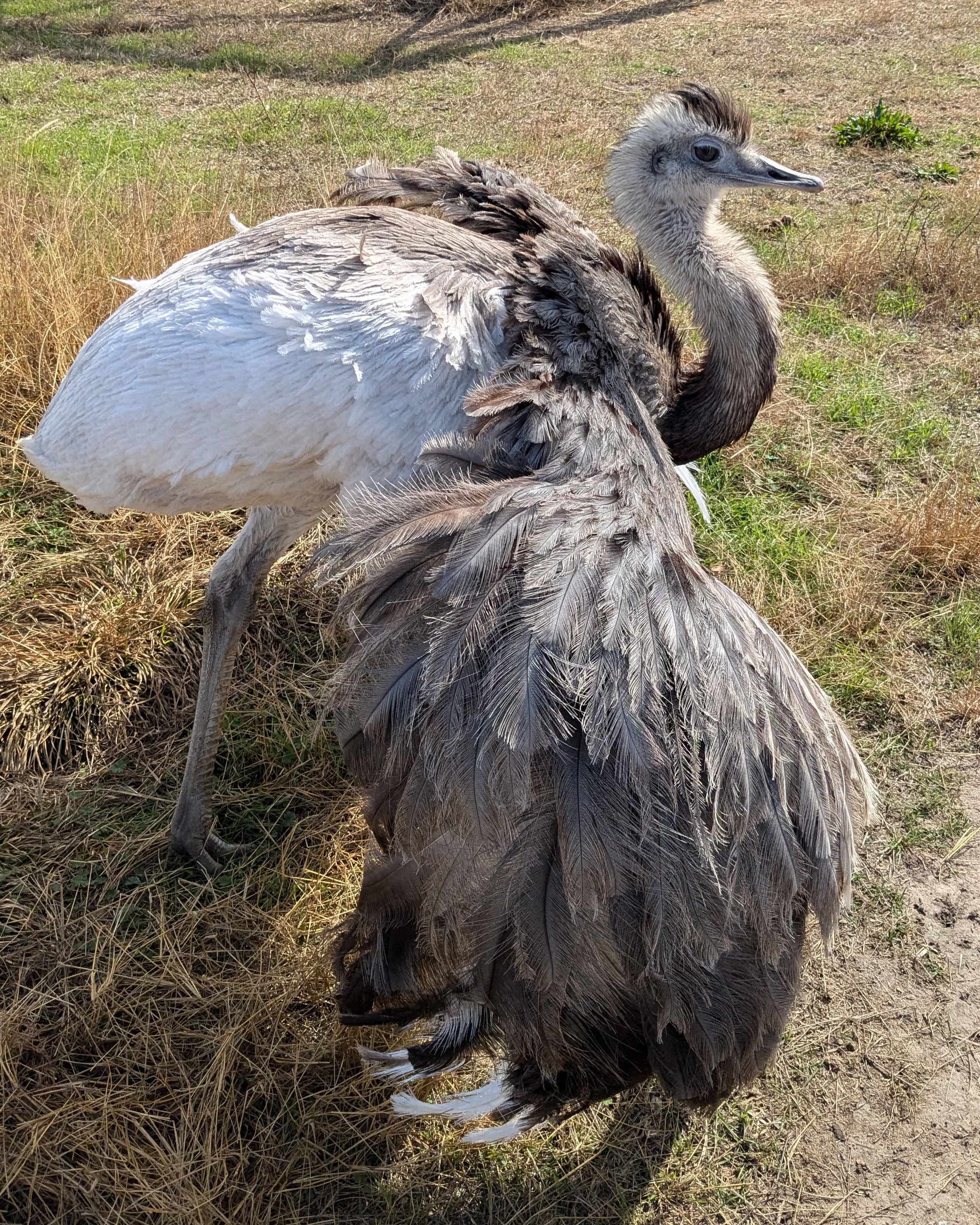 Get Ready: Breeding Season is Just Around the Corner...