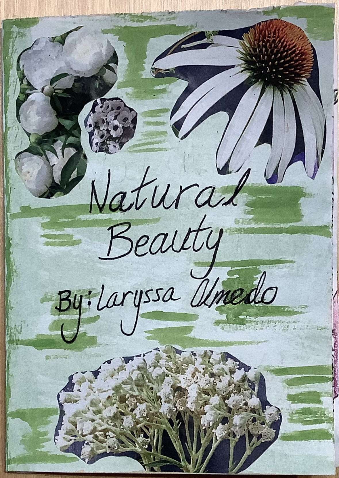 Natural Beauty: A Zine Celebrating Humanity's Charm
