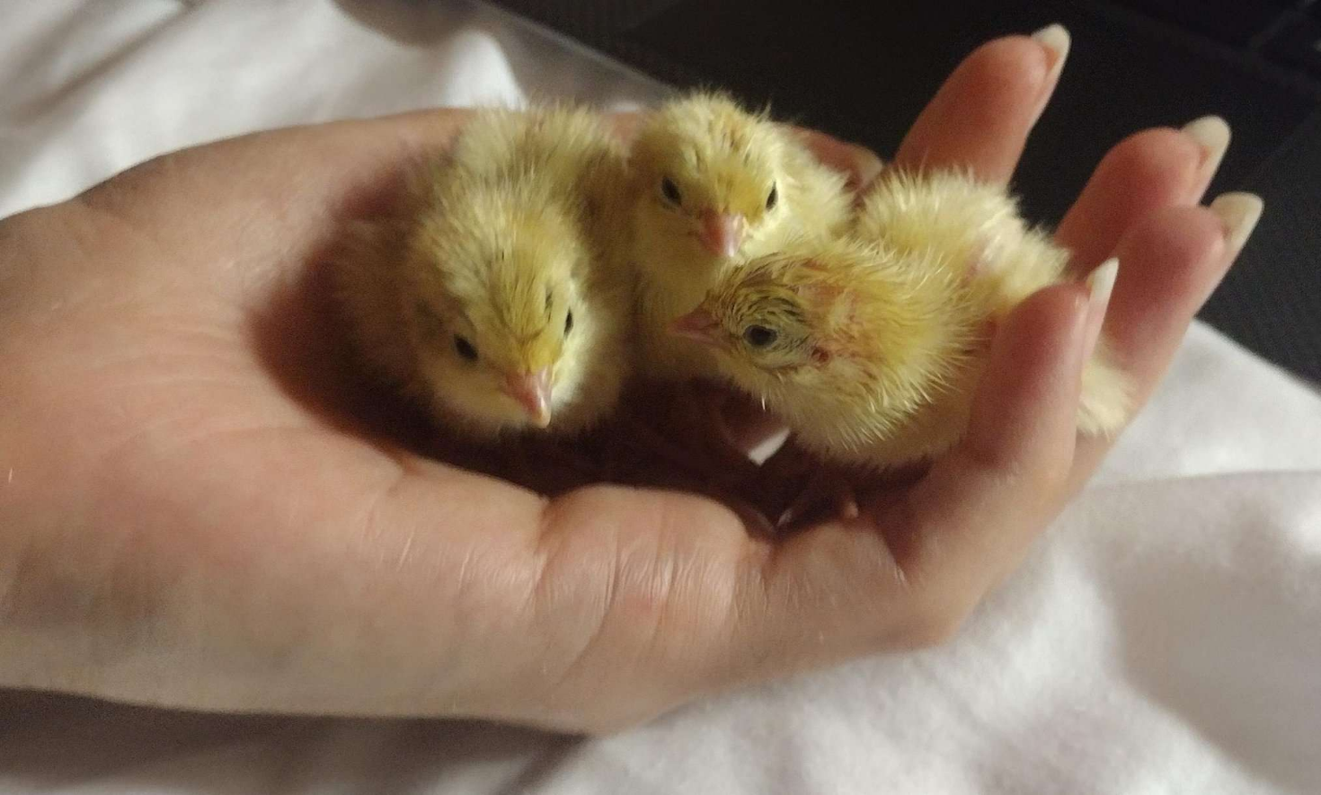 I Hope This Brightened Your Day as Much as It Brightened Mine!