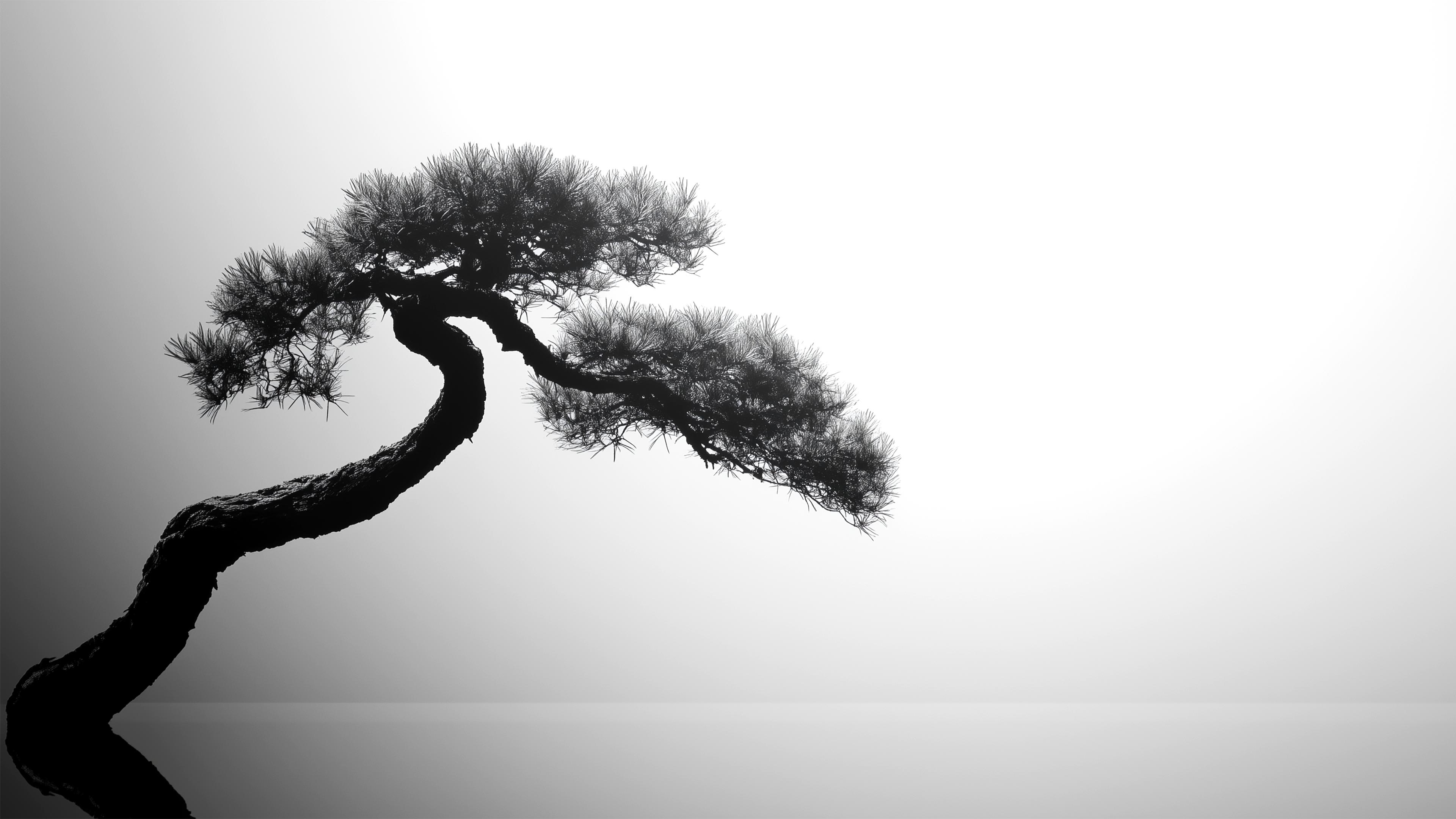 Serene Minimalist Tree Wallpaper for Your Space